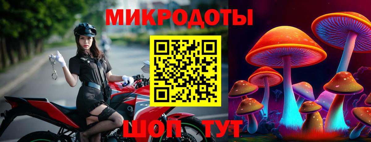 Псилоцибиновые грибы мицелий  Вход с VPN  Белгород 